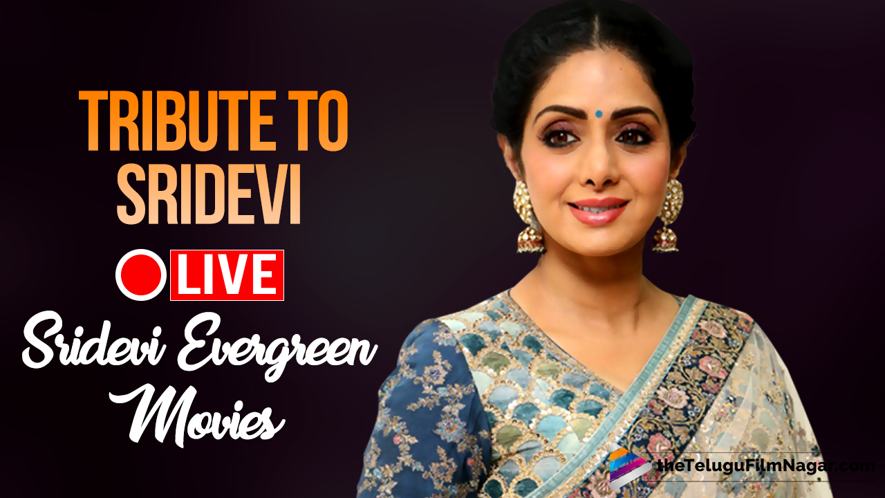 sridevi news tribute to sridevi sridevi evergreen movies live sridevi news tribute to sridevi sridevi evergreen movies live