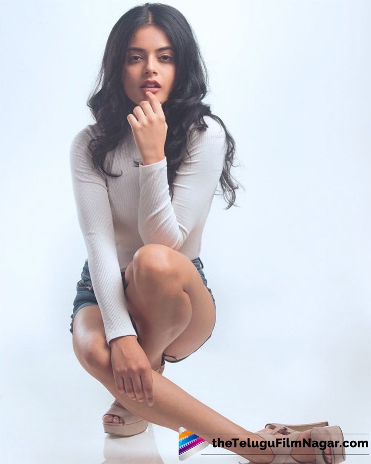 lovers movie heroine photos 2018 lover movie fame riddhi kumar photos actress riddhi lovers movie heroine photos 2018 lover movie fame riddhi kumar photos actress riddhi