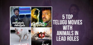 5 Top Recent Telugu Movies With Animals In Lead Roles, Actor Nandu Savaari Movie Latest News, latest telugu movies news, Savaari Movie Live Updates, Savaari Movie Updates, Savaari Telugu Movie Latest News, Telugu Film News 2020, Telugu Filmnagar, Telugu Movies Based On Animals In Lead Roles, Tollywood Films Based On Animals In Lead Roles, Tollywood Movie Updates, Top 5 Recent Telugu Movies With Animals In Lead Roles