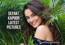 Seerat Kapoor Latest Pictures
