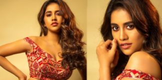 Nabha Natesh Upset About Films Not Releasing Due To Lockdown