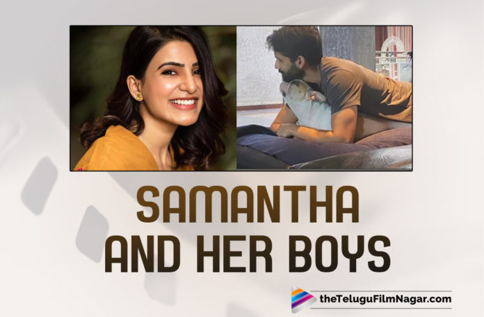 Samantha Akkineni Will Wipe Away Your Monday Blues With THIS Adorable Picture