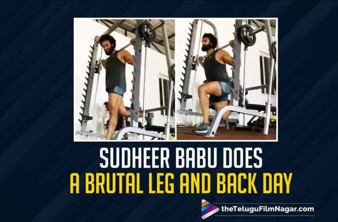 Sudheer Babu Does A Brutal Leg And Back Day At His Gym In This Latest Video