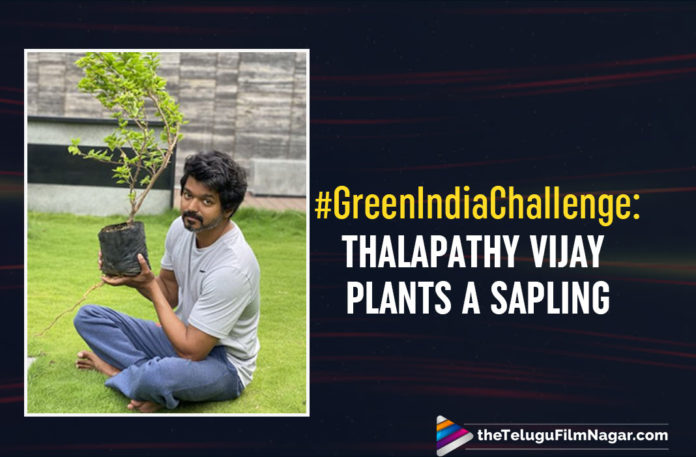 #GreenIndiaChallenge: Thalapathy Vijay Plants A Sapling After Being Challenged By Mahesh Babu