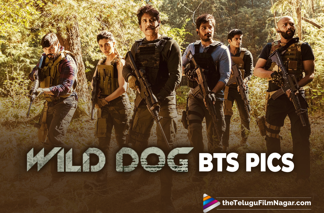 wild dog telugu movie wild dog telugu movie