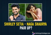 Naga Shaurya To Romance Bollywood Beauty Shirley Setia In His Next?
