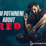 Ram Pothineni: RED Is Not Just A Thriller But Also A Perfect Family Entertainer For Sankranthi,Telugu Filmnagar,Latest Telugu Movies News,Telugu Film News 2021,Tollywood Movie Updates,Latest Tollywood News,RED,RED Movie,RED Telugu Movie,RED Movie Updates,RED Telugu Movie Latest News,RED Movie,Ram Pothineni RED Telugu Movie