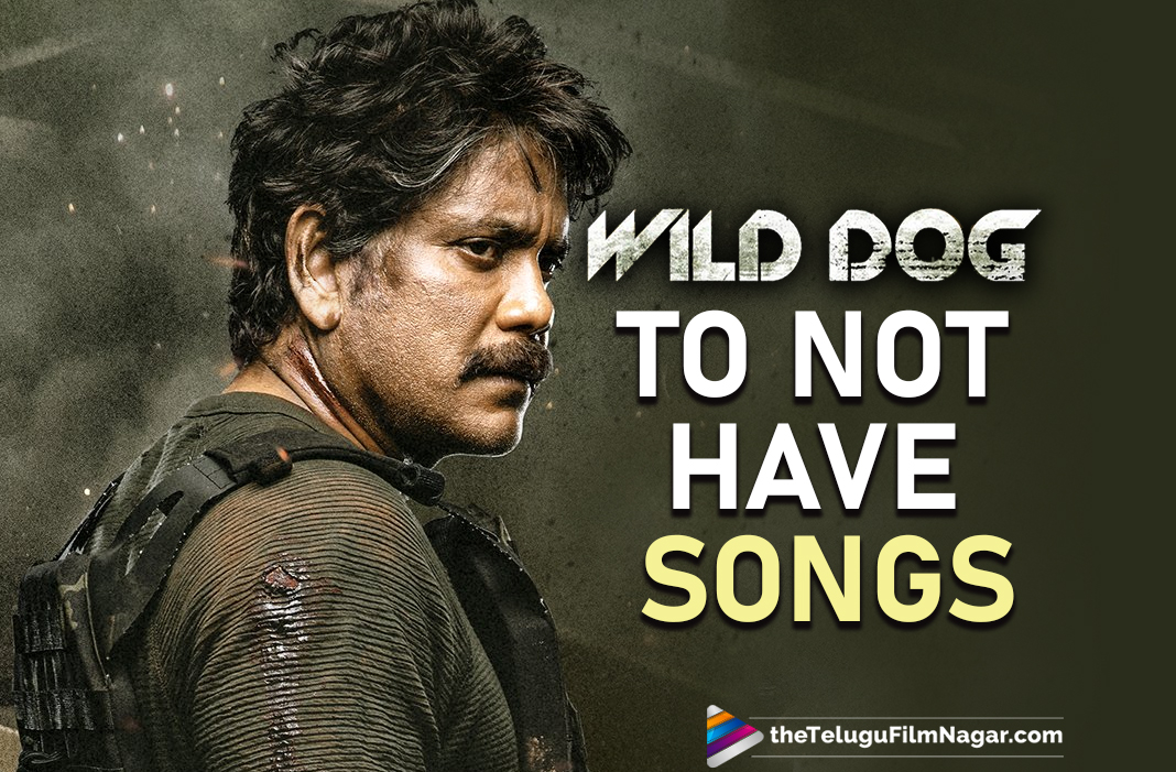 Nagarjuna Akkinenis Wild Dog To Not Have Any Songs