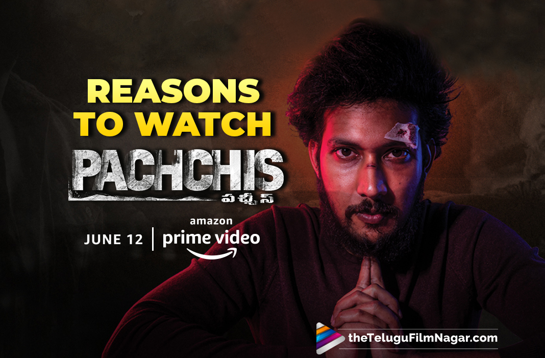 Reasons To Watch Pachchis Telugu Movie Reasons To Watch Pachchis Telugu Movie