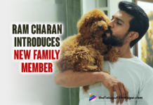 Ram Charan Introduces A New Adorable Addition To His Family,Ram Charan Welcomes New Puppy Into The Family,Ram Charan Welcomes Cute Little Member In His Family,Ram Charan Welcomes Rhyme,Ram Charan Welcomes Home A New Furball Called Rhyme,Ram Charan Welcomes Rhyme In His Life,Ram Charan Welcomes New Puppy,Ram Charan New Pet,Ram Charan New Pet Rhyme,Ram Charan New Furball Called Rhyme,Ram Charan Welcomes A New Furry Friend Rhyme,Ram Charan Welcomes A New Pet,Ram Charan Latest Photos,Ram Charan Latest Pics,Ram Charan Latest Photo Gallery,Ram Charan Welcomes Rhyme,Ram Charan New Pet Rhyme Photos,Telugu Filmnagar,Latest Telugu Movies 2021,Telugu Film News 2021,Tollywood Movie Updates,Latest Tollywood Updates,Mega Power Star Ram Charan,Ram Charan Movies,Ram Charan New Movie,Ram Charan Latest Movie,Ram Charan Upcoming Movie,Ram Charan New Movie Update,Ram Charan Latest Movie Update,Ram Charan Latest Film Updates,Ram Charan Latest News,Ram Charan Pics,Ram Charan Next Movies,Ram Charan Next Project,Ram Charan Upcoming Project,Ram Charan Pet,Ram Charan RRR,Ram Charan RRR Movie,Ram Charan RRR Movie Movie Updates,Ram Charan Introduces New Family Member,RC15,RC15 Movie,RC15 Movie Update,RC15 Updates,RC15 Movie Latest Updates,Acharya,Acharya Movie,Ram Charan Acharya,Ram Charan Acharya Movie,RRR,RRR Film,RRR Movie,RRR Movie Update,Ram Charan Latest News,Ram Charan Upcoming Movie Details,Ram Charan Latest Photos,Ram Charan Movie Update,#RamCharan