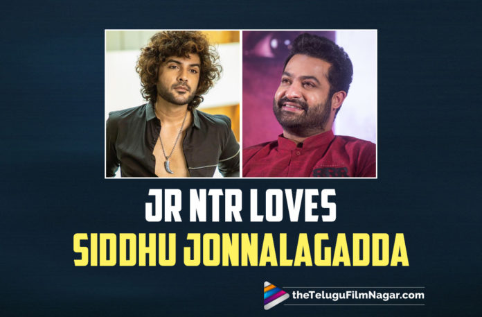 Jr NTR Loves Siddhu Jonnalagadda As An Actor After Watching DJ Tillu,Telugu Filmnagar,Latest Telugu Movies 2022,Telugu Film News 2022,Tollywood Movie Updates,Latest Tollywood Updates,Latest Film Updates,Tollywood Celebrity News,Tollywood Shooting Updates, Siddhu Jonnalagadda,Dj Tillu Fame Siddhu Jonnalagadda,Hero Siddhu Jonnalagadda,Siddhu Jonnalagadda Upcoming Movies,Siddhu Jonnalagadda New Movie,Siddhu Jonnalagadda Next Projects,Siddhu Jonnalagadda Super it Movie DJ Tillu, Siddhu Jonnalagadda Block Buster Movie Dj Tillu,DJ Tillu in OTT platform,RRR lead actor Jr NTR also used DJ Tillu’s dialogues in an interview, Jr NTR Says he loved Siddhu as an actor very much,Jr NTR Says Siddhu is fantastic and I love him as an actor, Jr NTR said that Siddhu has got an aura in him to pass through the television and reach the audience,Jr NTR About Siddhu Jonnalagadda,Jr NTR Love the Performance of Siddhu Jonnalagadda, Jr NTR is getting huge applause for his performance in RRR as Komaram Bheem,Tarak’s career best intense performance on the big screens,Tarak is currently enjoying the success of RRR,Jr NTR joining the sets of Koratala Siva’s film,RRR Jr NTR Performance, Siddhu Jonnalagadda Respond to Jr NTR Words and says I am extremely elated to hear this,You are so pure and thank you Tiger is a tiger for a reason Lots of Love,Jr NTR RRR Movie,Jr NTR A Komaram Bheem In RRR Movie,RRR Movie Updates,RRR latest Movie Updates,#SiddhuJonnalagadda,#JrNTR,#DJTillu,#RRR