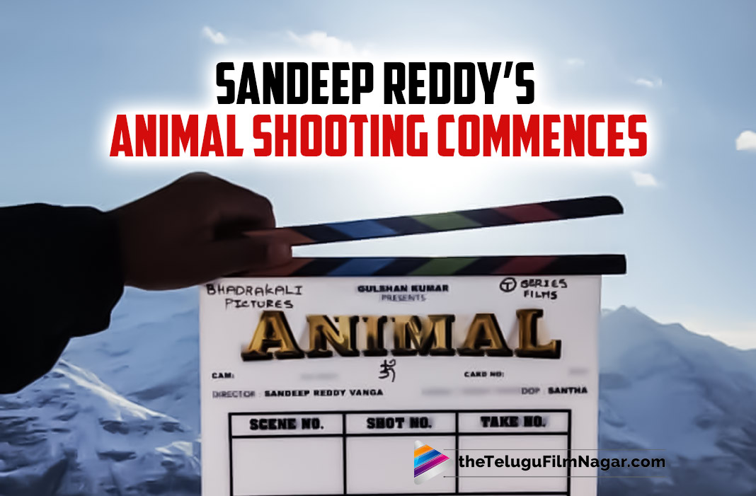 Sandeep Reddy Vanga's Bollywood Movie Animal Shooting Commences | Telugu  Filmnagar