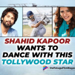 Shahid Kapoor Likes Samantha But Wants To Dance With THIS Tollywood Star: Guess Who?,Telugu Filmnagar,Latest Telugu Movies News,Telugu Film News 2022,Tollywood Movie Updates,Tollywood Latest News, Shahid Kapoor,Shahid Kapoor Latest Movie Updates,Bollywood Hero Shahid Kapoor,Hero Shahid Kapoor Latest Movie Jersey,Shahid Kapoor About Samantha,Shahid Kapoor About Allu Arjun, Shahid wants to work with Pushpa Star Allu Arjun,Shahid Kapoor jersey on 14th April,Shahid Kapoor Wants to Dance with Samantha,Shahid Kapoor Like to Dance with Tollywood Stars, Shahid Kapoor Latest News,Samantha The Family Man 2 Webseries,The Family Man 2 Webseries,samntha in bollywood,Jersey Telugu Film Remade in Hindi Version Releasing on 14th April