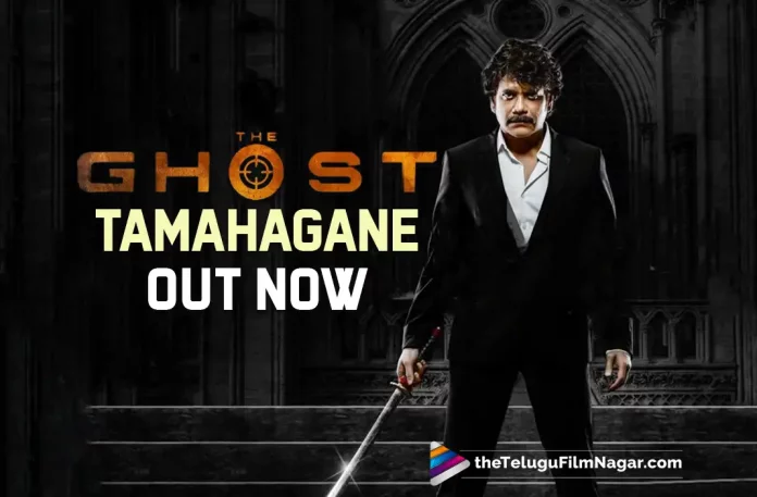 The Ghost – Tamahagane: New Action Glimpse Out From Akkineni Nagarjuna’ Upcoming Movie,Nagarjuna’s The Ghost Movie New Making Video Out,Telugu Filmnagar,Latest Telugu Movies News,Telugu Film News 2022,Tollywood Latest,Tollywood Movie Updates,Tollywood Upcoming Movies,The Ghost New Action Glimpse Out,Akkineni Nagarjuna The Ghost New Action Glimpse Out Now,The Ghost,The Ghost Telugu Movie,The Ghost Movie Latest Updates,The Ghost Movie Latest Updates,The Ghost New Movie Updates,The Ghost Movie Updates,Akkineni Nagarjuna The Ghost Movie,Nagarjuna Upcoming Movie The Ghost,Nagarjuna The Ghost New Making Video Out Now,The Ghost Movie New Making Video Out Now