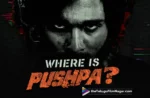 Where is Pushpa? Pushpa The Rule Team Releases A Special Glimpse